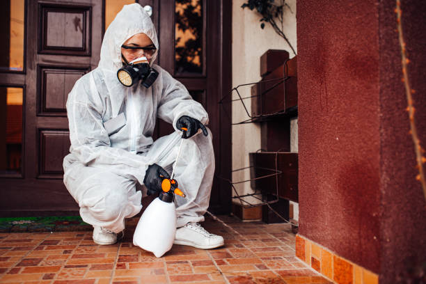 Reliable Ant Control contractor in San Benito, TX by Show Me Pest Control